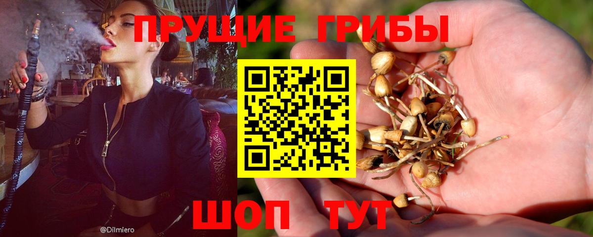 Псилоцибиновые грибы мухоморы  Вход с VPN  Сердобск  Галлюциногенные грибы мицелий 